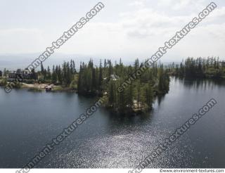 background nature forest High Tatras 0016